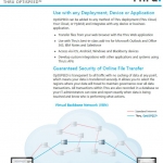 Thru OptiSPEED Datasheet