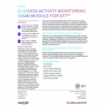 Business Activity Monitoring